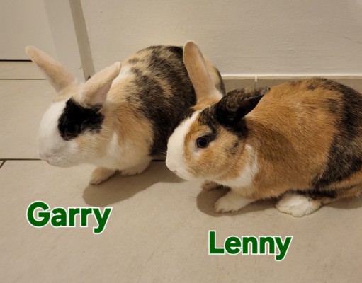 Garry und Lenny