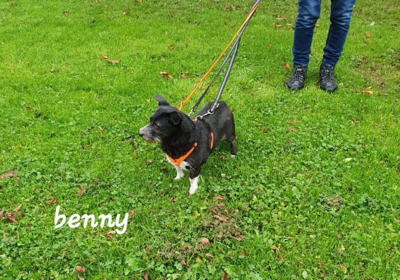 Benny 