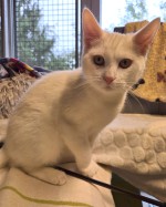 Balduin (nur mit Sophia) Balduin (nur mit Sophia)