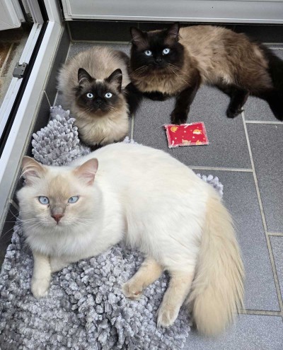 Bisso (mit Leo und Pit)