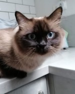 Lilli mit Sohn Paul Lilli mit Sohn Paul