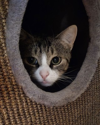 Mika (nur mit Salem)