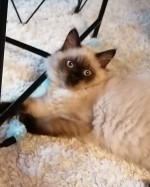 Paul mit Mama Lilli Paul mit Mama Lilli