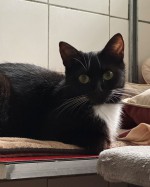 Sophia (nur mit Balduin) Sophia (nur mit Balduin)