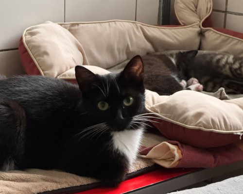 Sophia (nur mit Balduin)