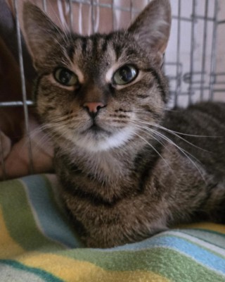 Alexa (nur mit Lilli undMia)