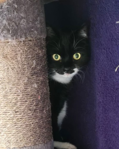 Bella