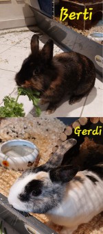 Berti und Gerdi Berti und Gerdi