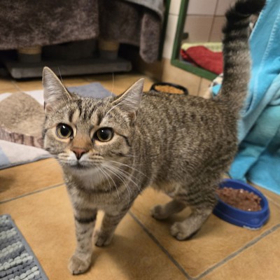 Kabira (nur mit Kalevi und Kaleo)