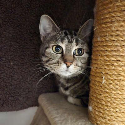 Lana (nur mit Bella)