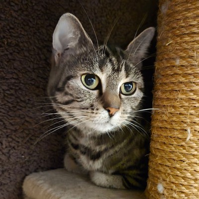 Lana (nur mit Bella)