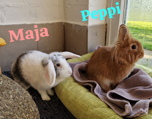 Maja und Peppi