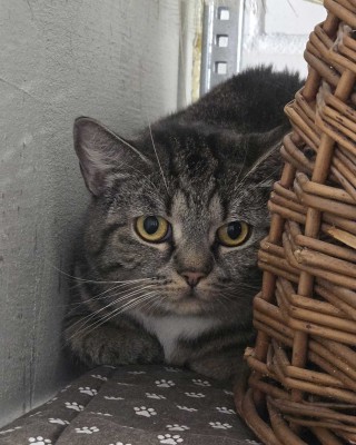 Malou (nur mit Minka)
