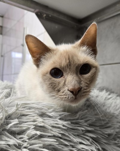 Mia (nur mit Lilli)