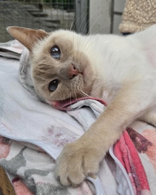 Mia (nur mit Lilli)