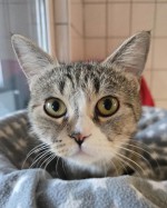 Nala (nur mit Nunu) Nala (nur mit Nunu)