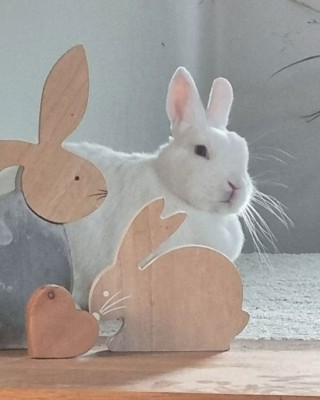 Süsse