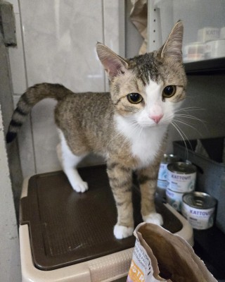 Tora (mit Coco)